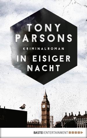 Cover of the book In eisiger Nacht by Jason Dark
