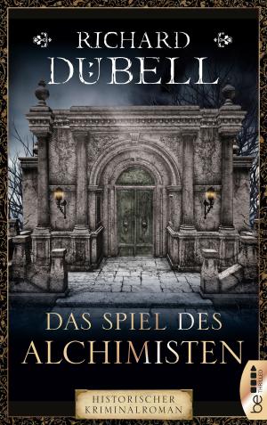 Cover of the book Das Spiel des Alchimisten by Kerstin Hamann