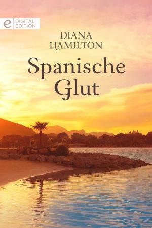 Book cover of Spanische Glut