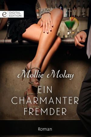bigCover of the book Ein charmanter Fremder by 