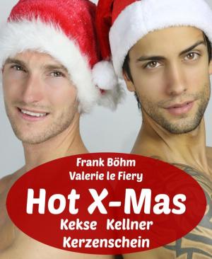 Cover of the book Hot X-Mas by Horst Weymar Hübner