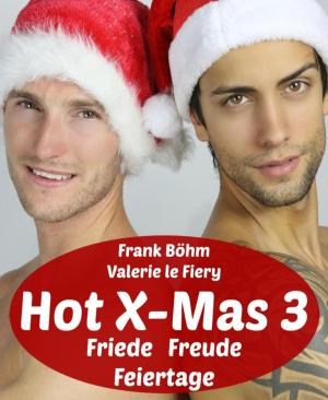 Cover of the book Hot X-Mas 3 by Niccolò Machiavelli