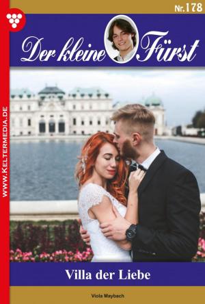 Cover of the book Der kleine Fürst 178 – Adelsroman by Gisela Reutling