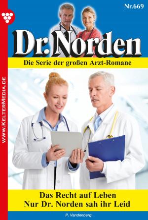 Cover of the book Dr. Norden 669 – Arztroman by Britta Winckler