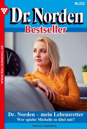 bigCover of the book Dr. Norden Bestseller 255 – Arztroman by 