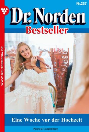 bigCover of the book Dr. Norden Bestseller 257 – Arztroman by 