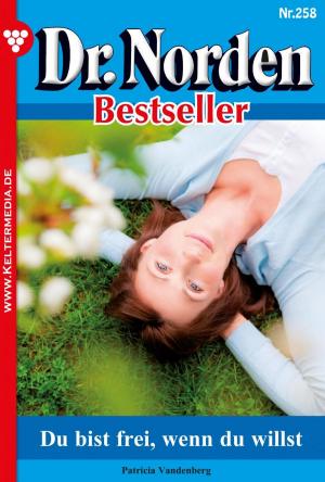 Cover of the book Dr. Norden Bestseller 258 – Arztroman by Britta Winckler