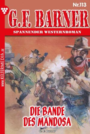 Cover of the book G.F. Barner 113 – Western by Patricia Vandenberg