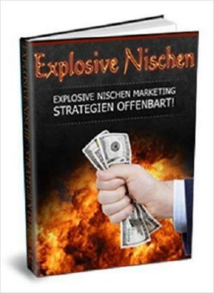 Cover of the book Explosive Nischen by Dennis Weiß, Vinzent Weiß