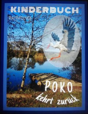 Cover of the book POKO by Michael Schenk