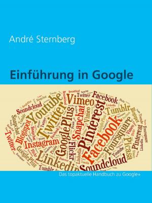 Cover of the book Einführung in Google+ by Tessy Lerche