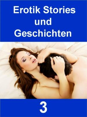 Cover of the book Erotik Stories und Geschichten 3 - 371 Seiten by Horst Ludwig