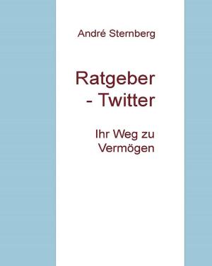 Cover of the book Ratgeber - Twitter by Lucy van Geldern