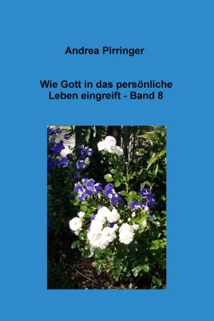 Cover of the book Wie Gott in das persönliche Leben eingreift - Band 8 by Klaus-Dieter Thill