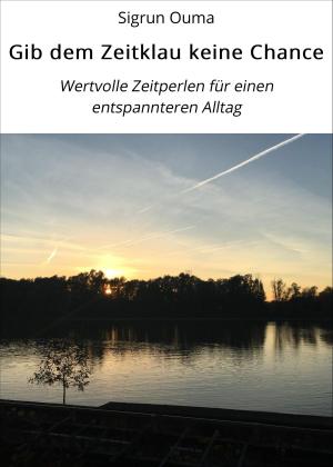 Cover of the book Gib dem Zeitklau keine Chance by Jürgen Prommersberger