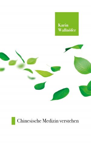 Cover of the book Chinesische Medizin verstehen by Thorsten Müller