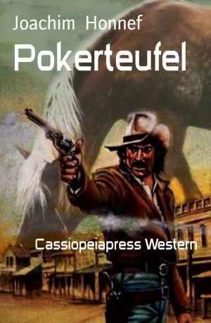 Cover of the book Pokerteufel by Daniel Bryant