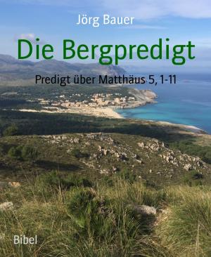 Cover of the book Die Bergpredigt by Friedrich Gerstäcker