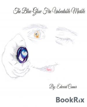 Cover of the book The Blue-Glow Fire Unbeatable Marble by Dominique Schwartz