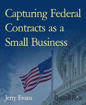 Cover of the book Capturing Federal Contracts as a Small Business by Steve Price