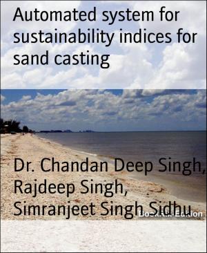 Cover of the book Automated system for sustainability indices for sand casting by Bernd Skorczyk