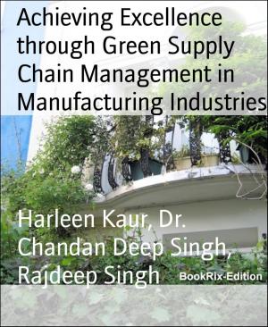 Cover of the book Achieving Excellence through Green Supply Chain Management in Manufacturing Industries by Judy Scott
