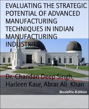 Cover of the book EVALUATING THE STRATEGIC POTENTIAL OF ADVANCED MANUFACTURING TECHNIQUES IN INDIAN MANUFACTURING INDUSTRIES by Horst Friedrichs