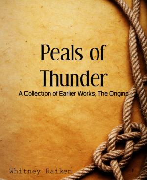 Cover of the book Peals of Thunder by Sonny Brewer