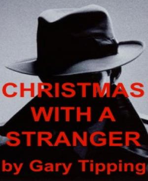 Cover of the book Christmas With A Stranger by Dörte Müller