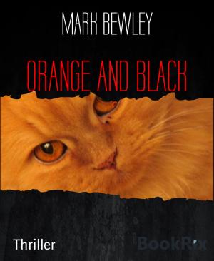 Book cover of ORANGE AND BLACK