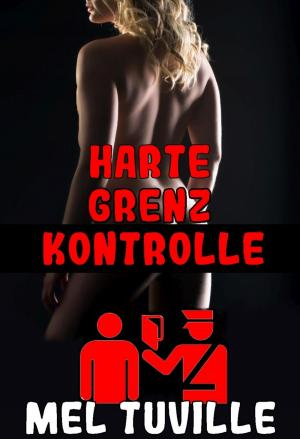 Cover of the book Harte Grenzkontrolle by Siwa Rubin