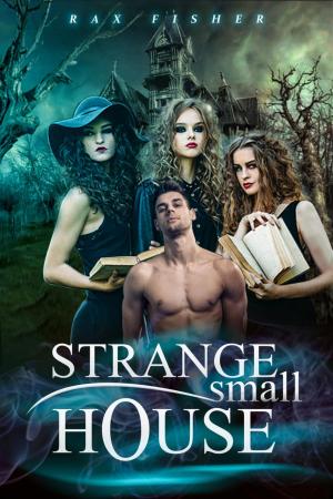 Cover of the book STRANGE SMALL HOUSE by Martin Barkawitz