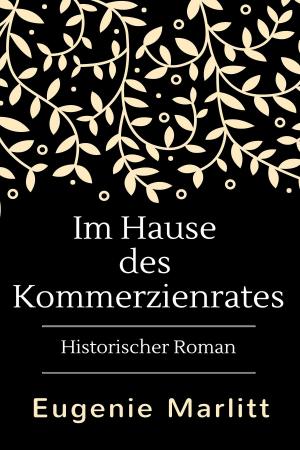 Cover of the book Im Hause des Kommerzienrates by Christopher Pfaff