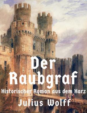 Cover of the book Der Raubgraf by Patrice Kragten
