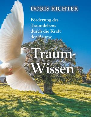 Book cover of Traum - Wissen