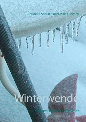 Cover of the book Winterwende by Beatrix Petrikowski