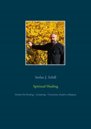 Cover of the book Spiritual Healing by Bernd Bierbaum