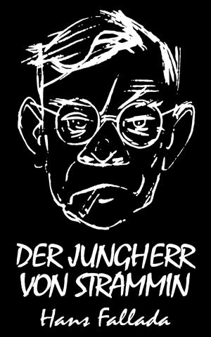 Cover of the book Der Jungherr von Strammin (Roman) by Jörg Liemann