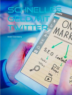Cover of the book Schnelles Geld mit Twitter by Andrea Habla