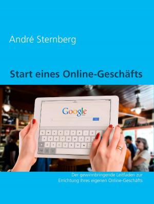 Cover of the book Start eines Online-Geschäfts by Lilly Kanexo