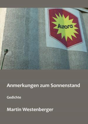 Cover of the book Anmerkungen zum Sonnenstand by Kim Sindberg