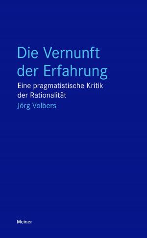 Cover of the book Die Vernunft der Erfahrung by Claus-Artur Scheier