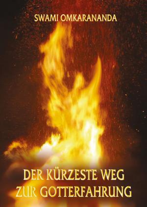 Book cover of Der kürzeste Weg zur Gotterfahrung