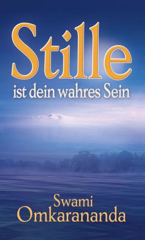 Book cover of Stille ist dein wahres Sein