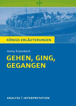Book cover of Gehen, ging, gegangen. Königs Erläuterungen.