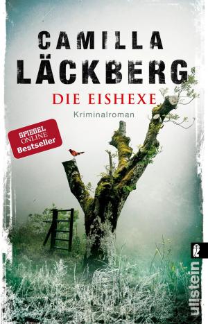 Cover of the book Die Eishexe by Sascha Adamek