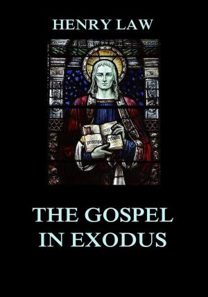 Cover of the book The Gospel in Exodus by John C. Calhoun