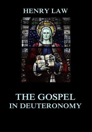 Cover of the book The Gospel in Deuteronomy by St. John Chrysostom