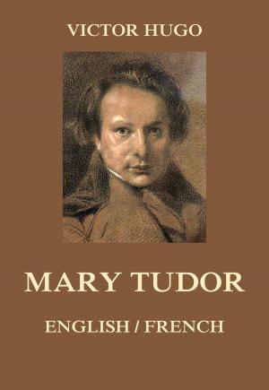 Cover of the book Mary Tudor by L. Frank Baum, Edith Van Dyne