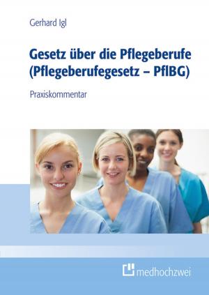 Cover of the book Gesetz über die Pflegeberufe (Pflegeberufegesetz – PflBG) by Barbara Klein, Birgit Graf, Inga Franziska Schlömer, Holger Roßberg, Karin Röhricht, Simon Baumgarten